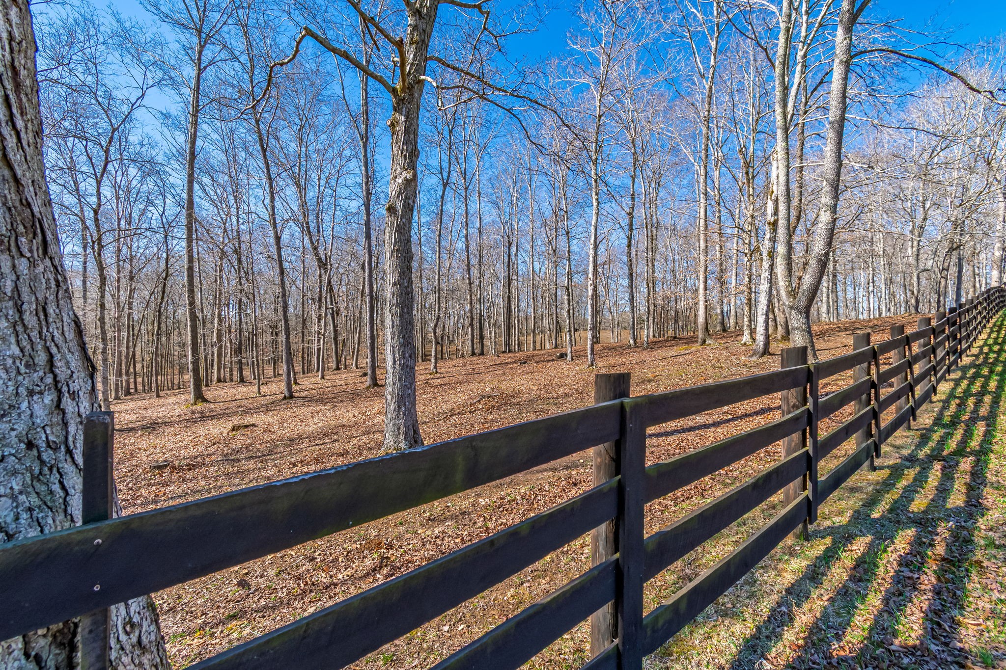 801 Collier Bend Road Charlotte, TN 37036 - Photo 38 of 100