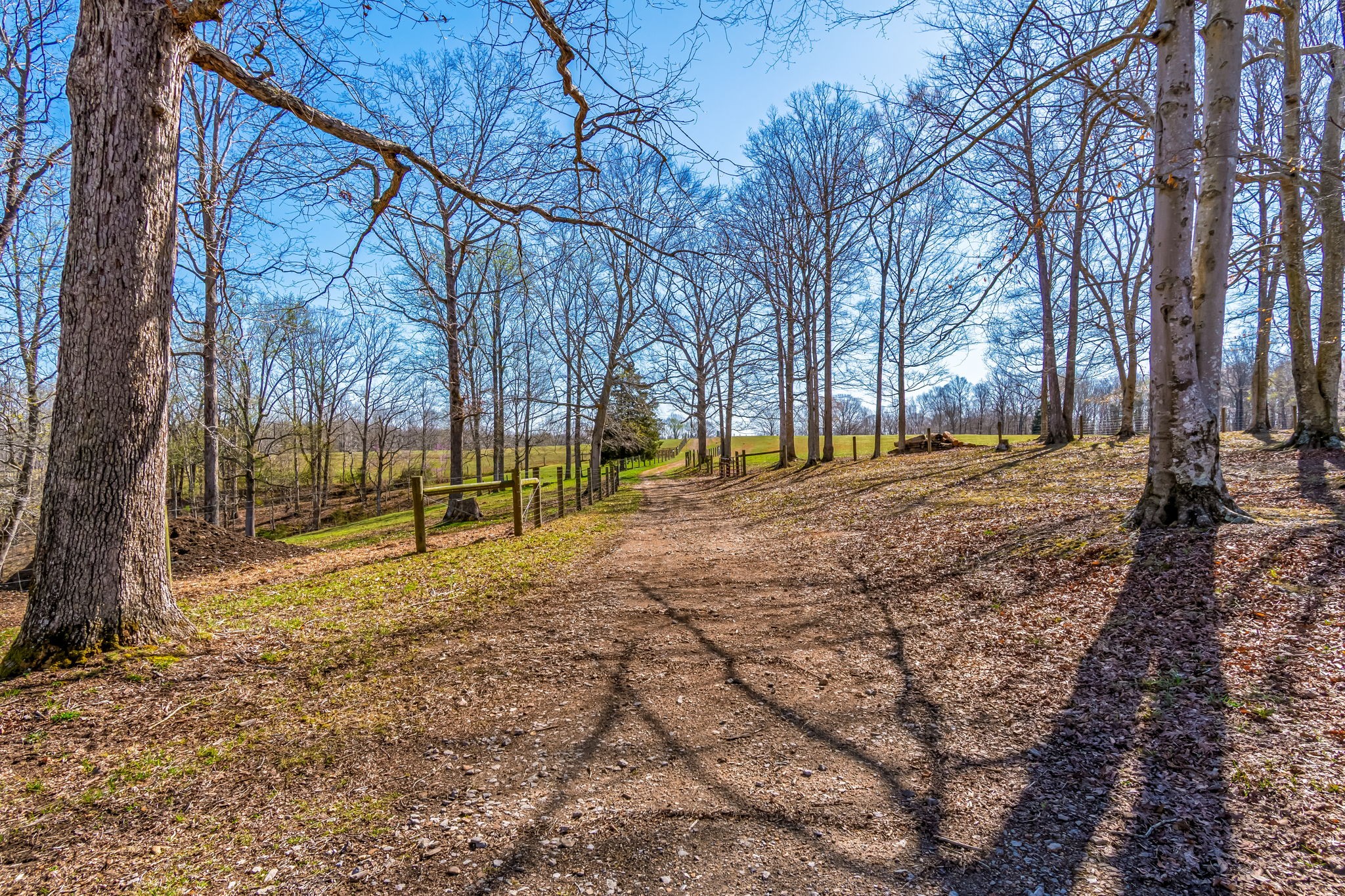 801 Collier Bend Road Charlotte, TN 37036 - Photo 41 of 100