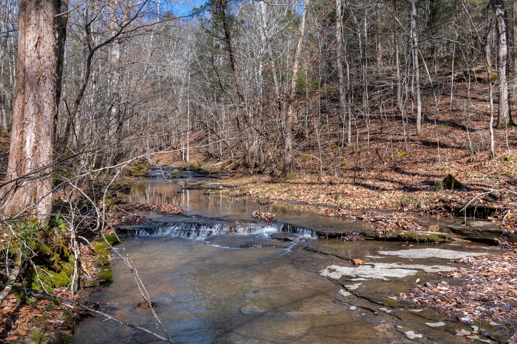 801 Collier Bend Road Charlotte, TN 37036 - Photo 42 of 84