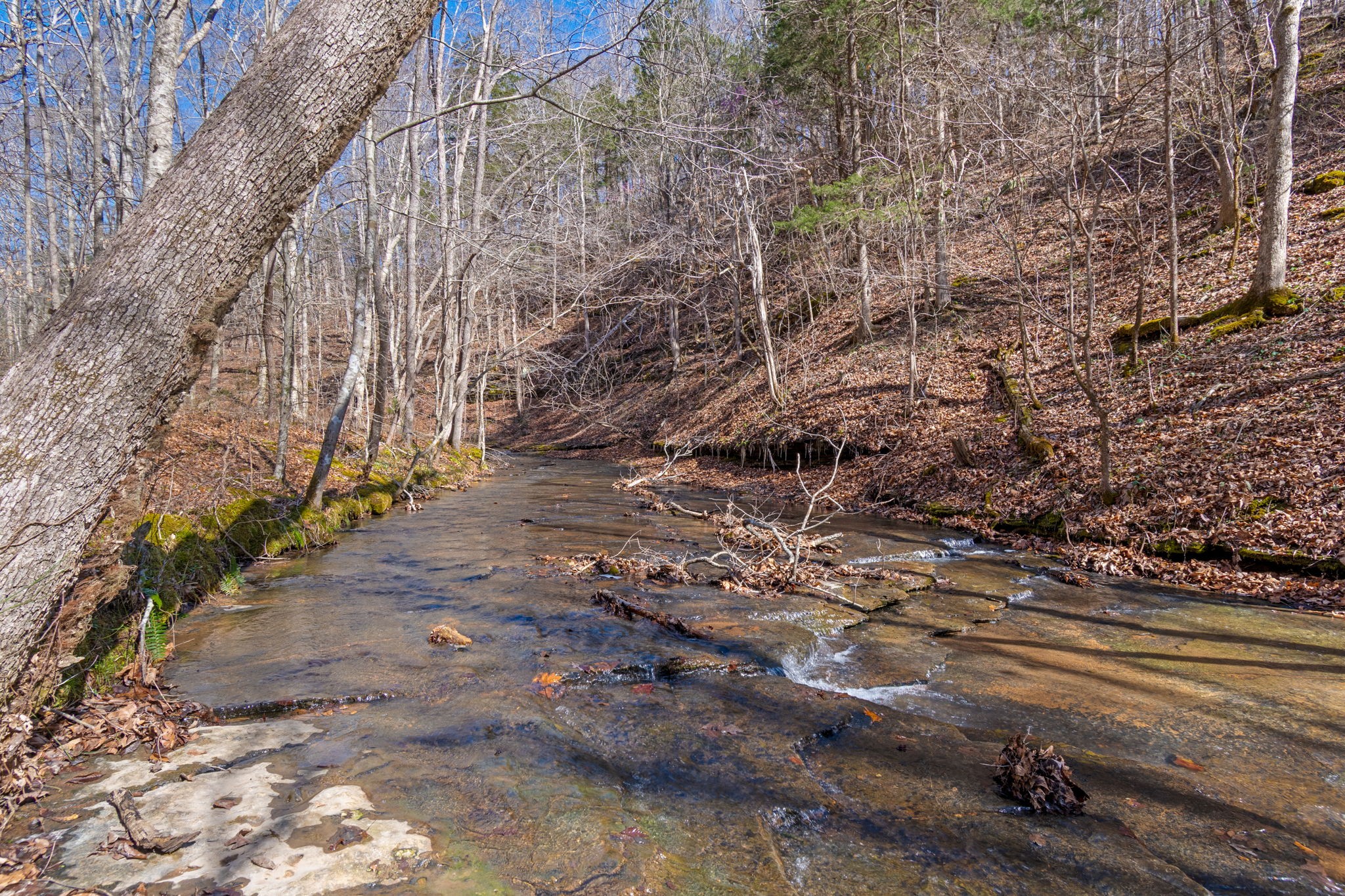 801 Collier Bend Road Charlotte, TN 37036 - Photo 42 of 100