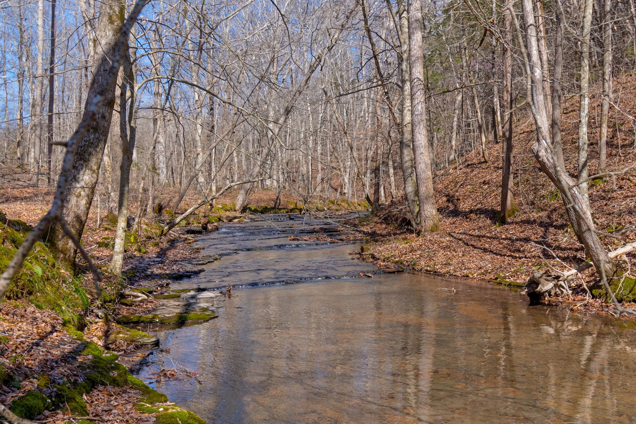 801 Collier Bend Road Charlotte, TN 37036 - Photo 45 of 84