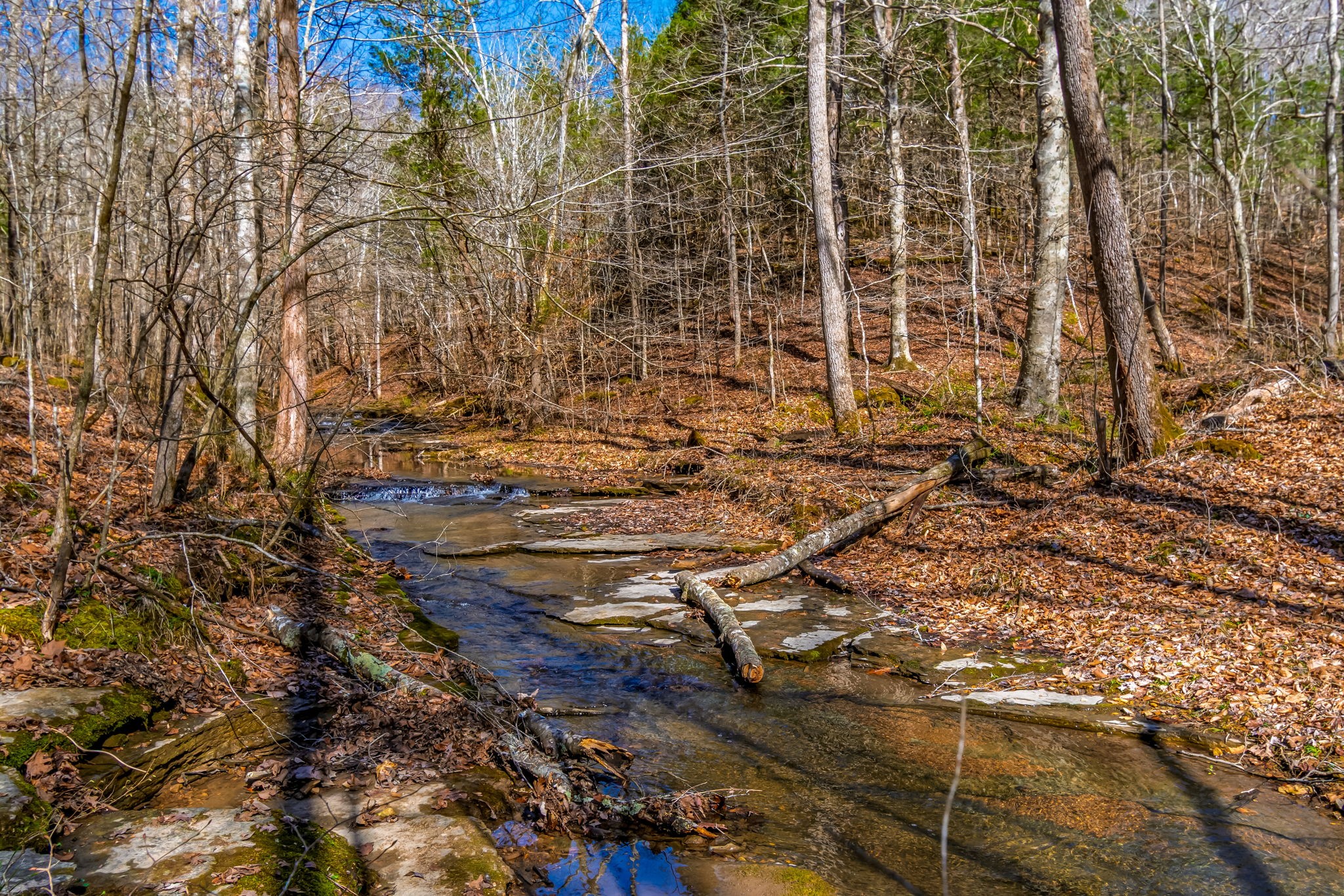 801 Collier Bend Road Charlotte, TN 37036 - Photo 47 of 84