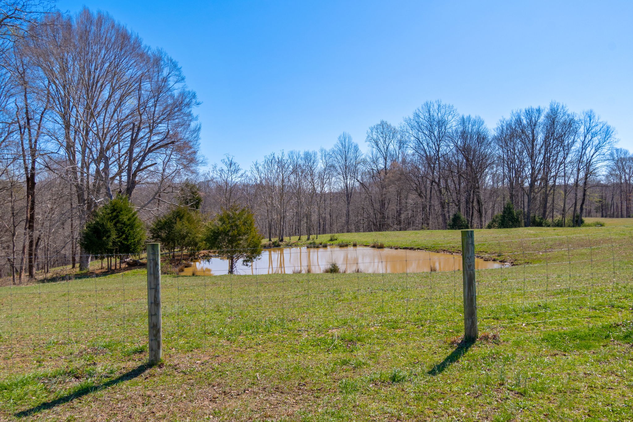 801 Collier Bend Road Charlotte, TN 37036 - Photo 50 of 84