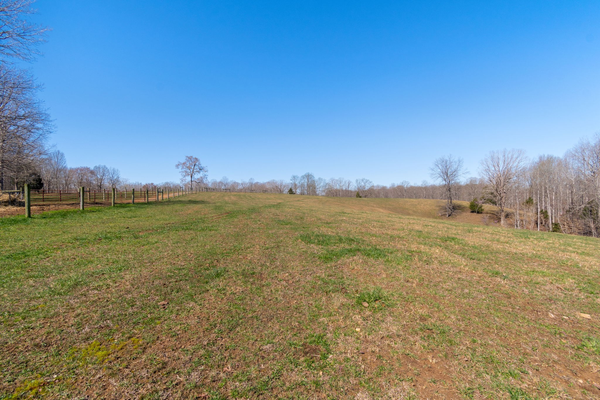 801 Collier Bend Road Charlotte, TN 37036 - Photo 51 of 100