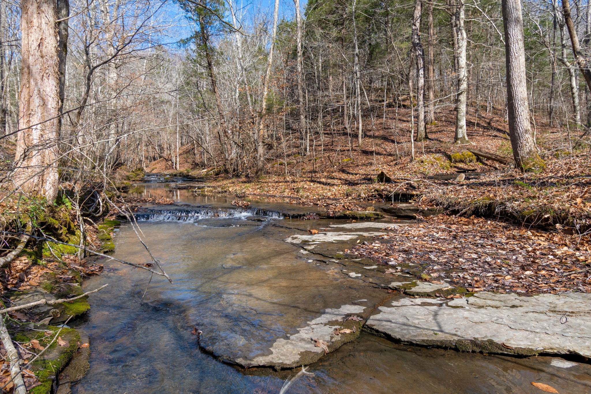 801 Collier Bend Road Charlotte, TN 37036 - Photo 51 of 84