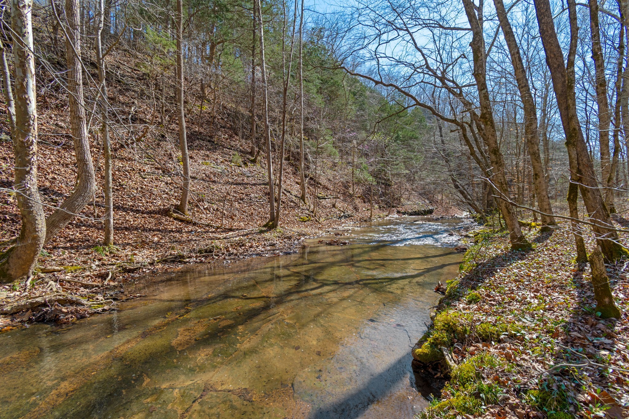 801 Collier Bend Road Charlotte, TN 37036 - Photo 54 of 84