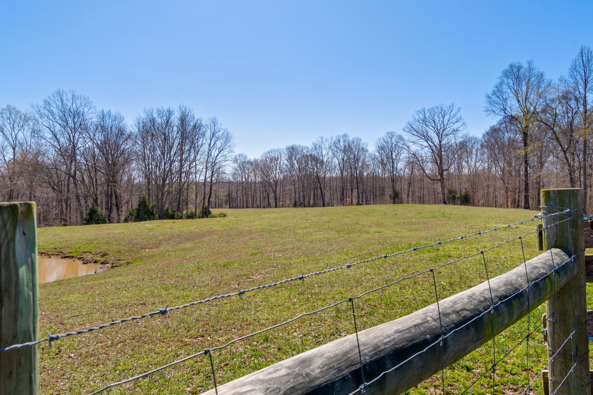 801 Collier Bend Road Charlotte, TN 37036 - Photo 55 of 100