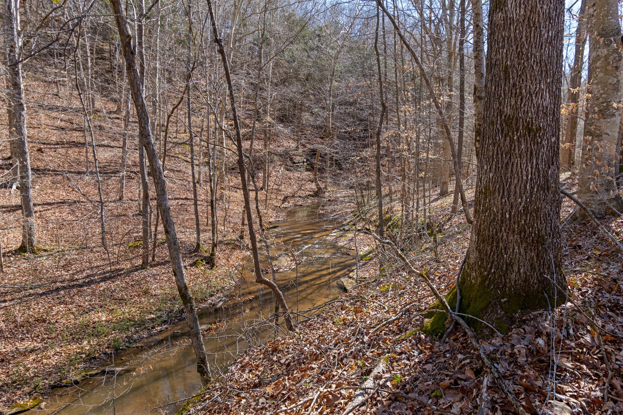 801 Collier Bend Road Charlotte, TN 37036 - Photo 56 of 84