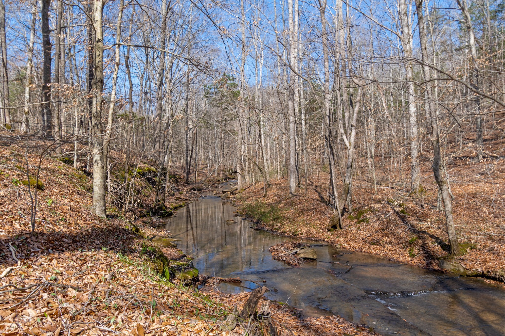 801 Collier Bend Road Charlotte, TN 37036 - Photo 57 of 84