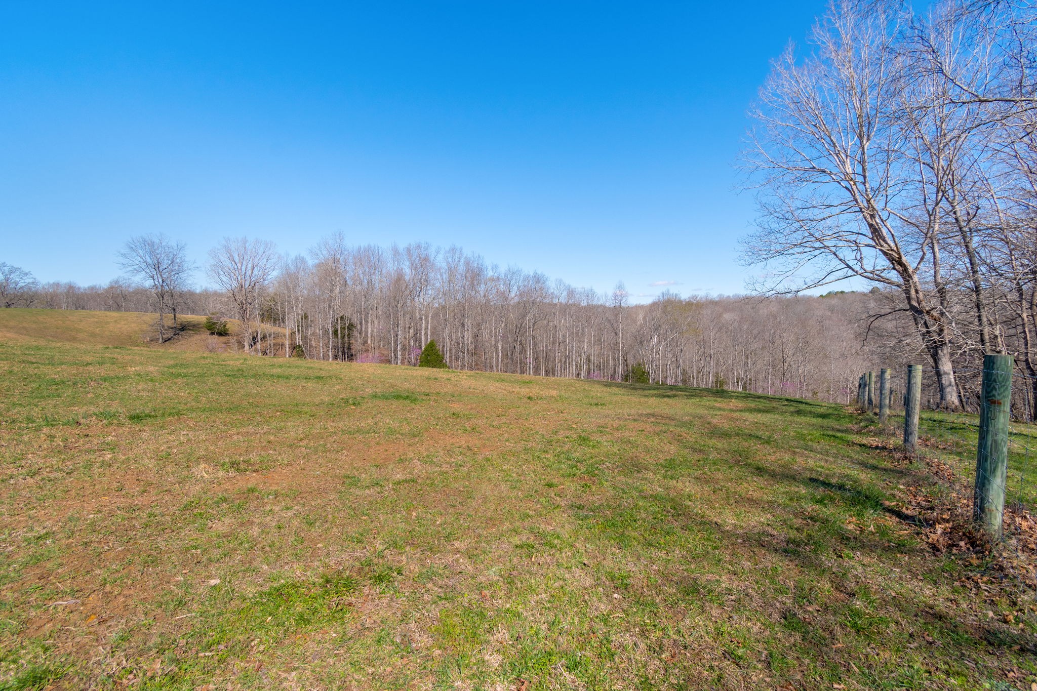 801 Collier Bend Road Charlotte, TN 37036 - Photo 60 of 100 a view of an outdoor space and a yard