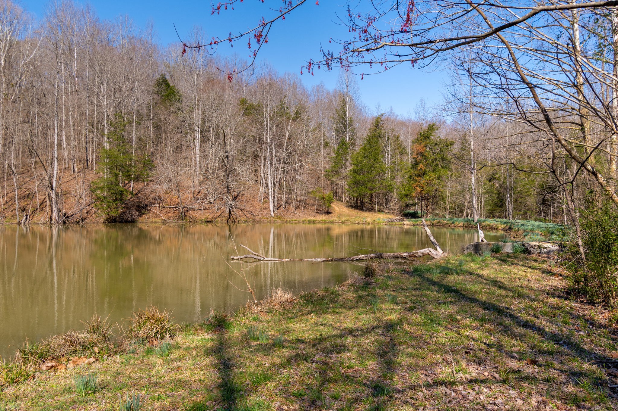 801 Collier Bend Road Charlotte, TN 37036 - Photo 61 of 100