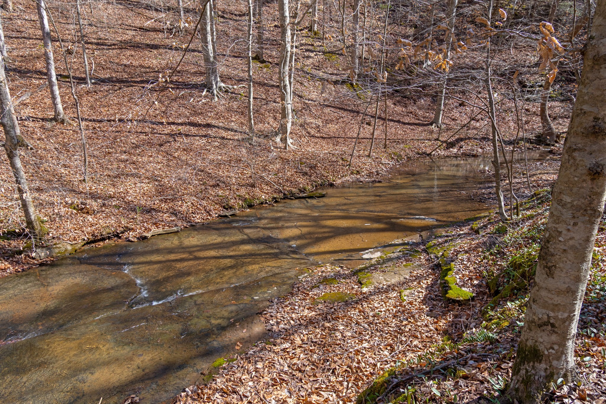 801 Collier Bend Road Charlotte, TN 37036 - Photo 62 of 84