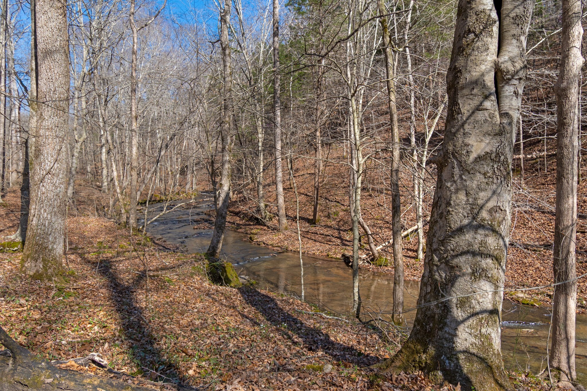 801 Collier Bend Road Charlotte, TN 37036 - Photo 64 of 84