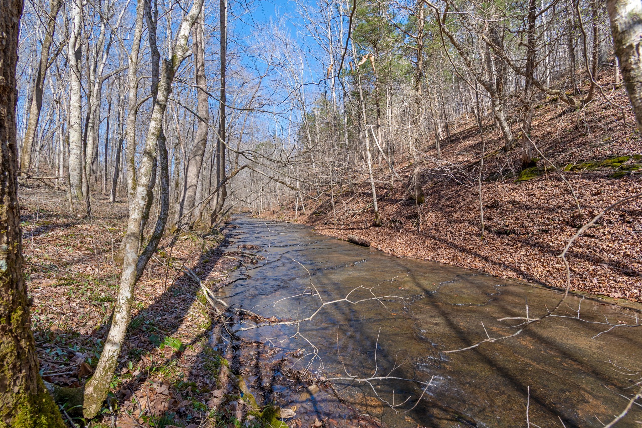801 Collier Bend Road Charlotte, TN 37036 - Photo 65 of 84