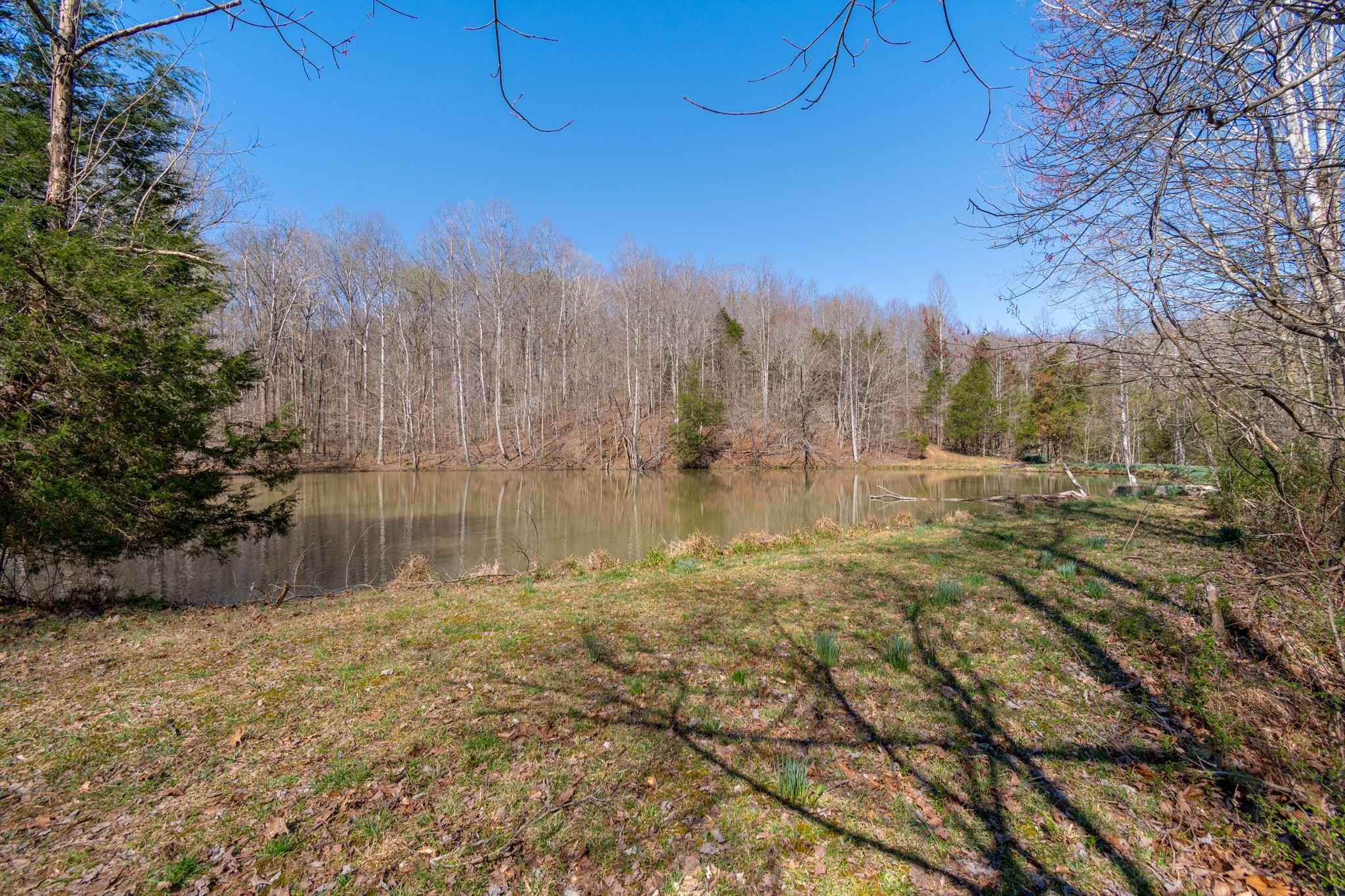 801 Collier Bend Road Charlotte, TN 37036 - Photo 67 of 84
