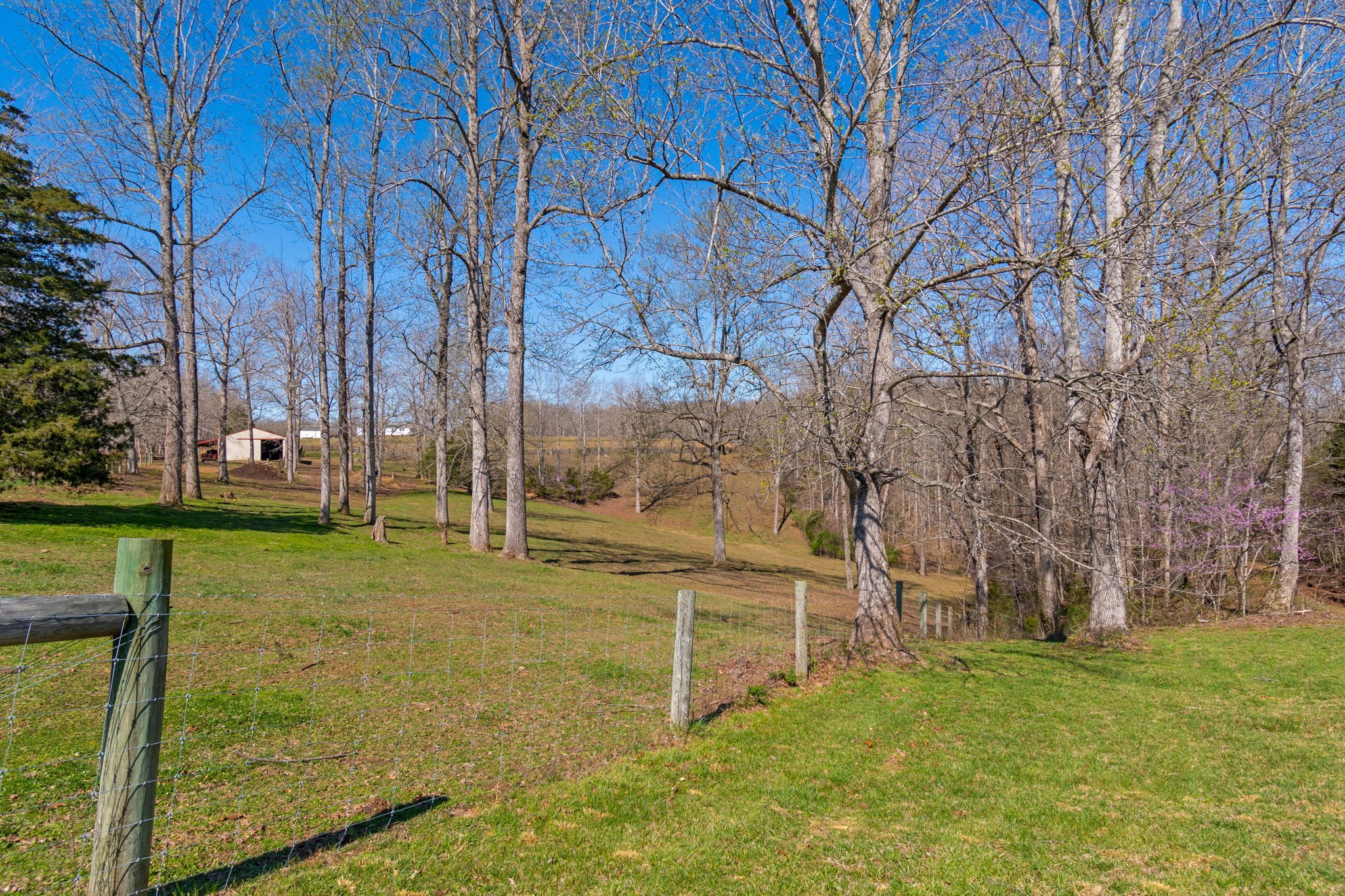 801 Collier Bend Road Charlotte, TN 37036 - Photo 68 of 84