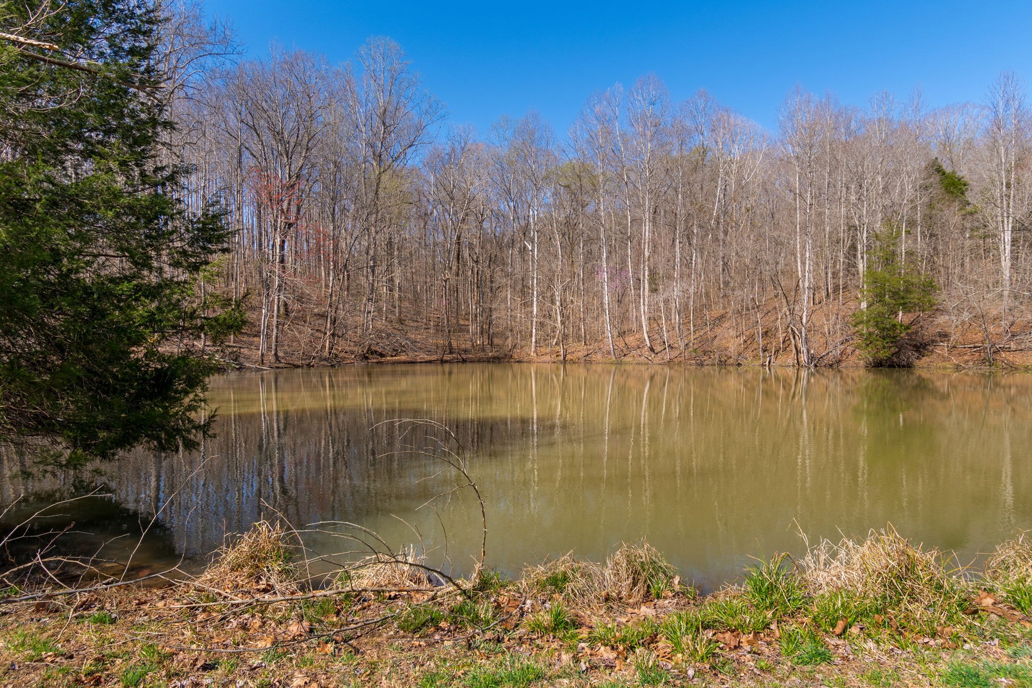 801 Collier Bend Road Charlotte, TN 37036 - Photo 7 of 100 a view of a lake with a building in the background
