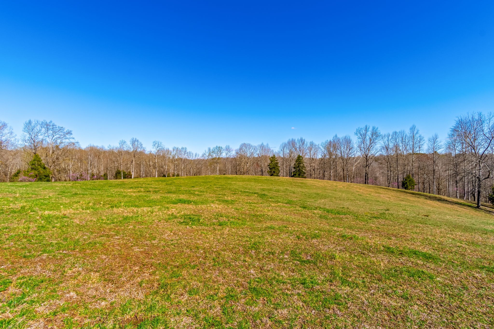 801 Collier Bend Road Charlotte, TN 37036 - Photo 8 of 100