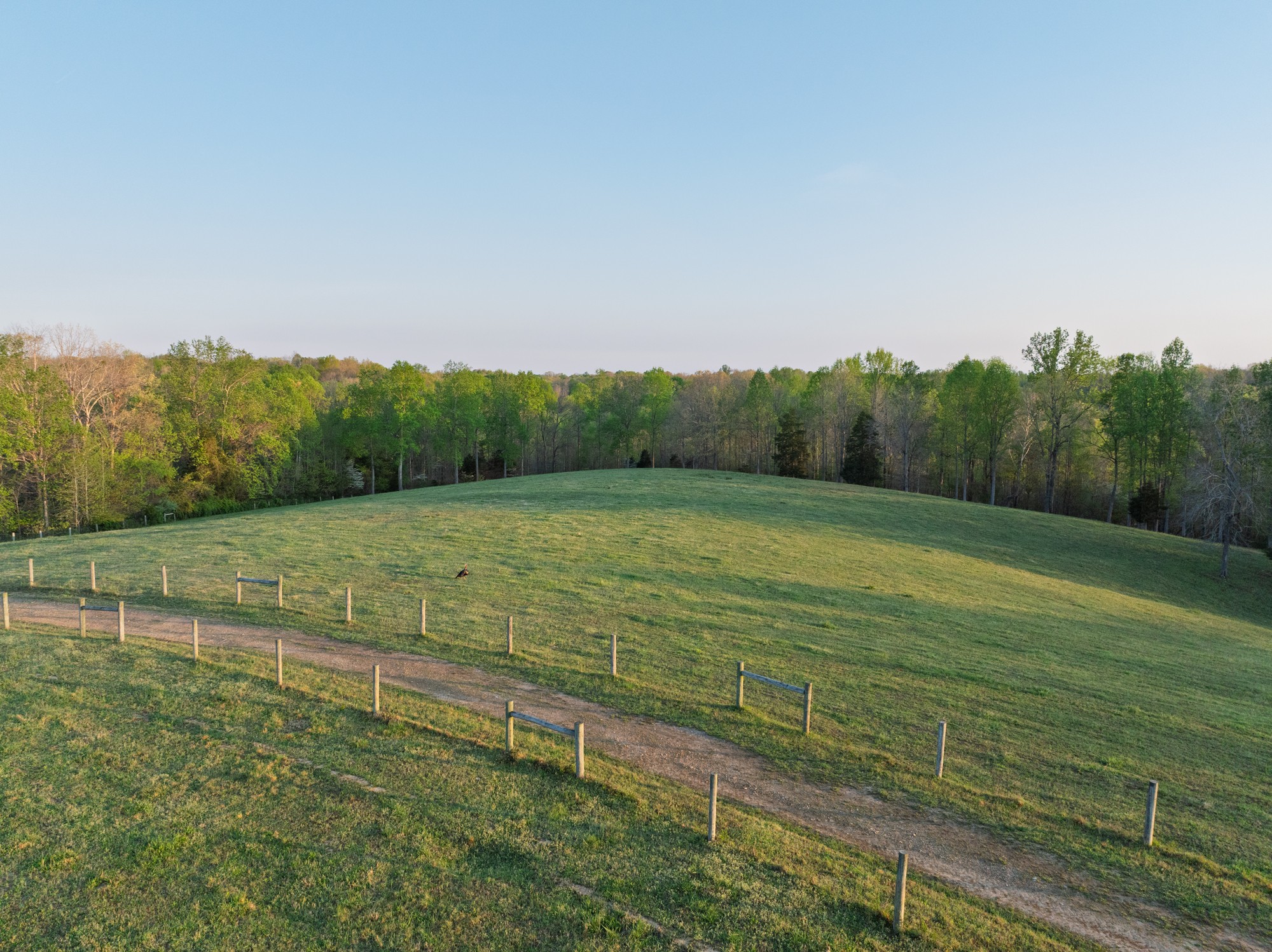 801 Collier Bend Road Charlotte, TN 37036 - Photo 93 of 100 a view of a field with an trees in the background