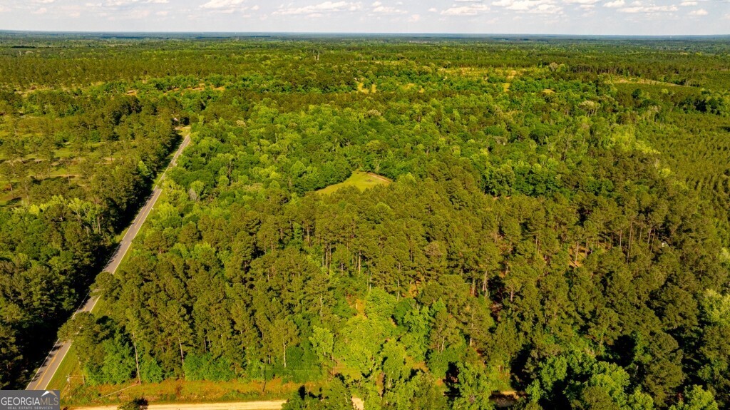 426 Wadley Coleman Lake Road Swainsboro, GA 30401 - Photo 3 of 79