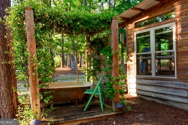 a view of a lush green forest