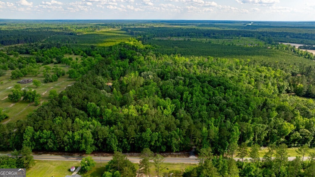 426 Wadley Coleman Lake Road Swainsboro, GA 30401 - Photo 59 of 79 a view of a garden with a yard