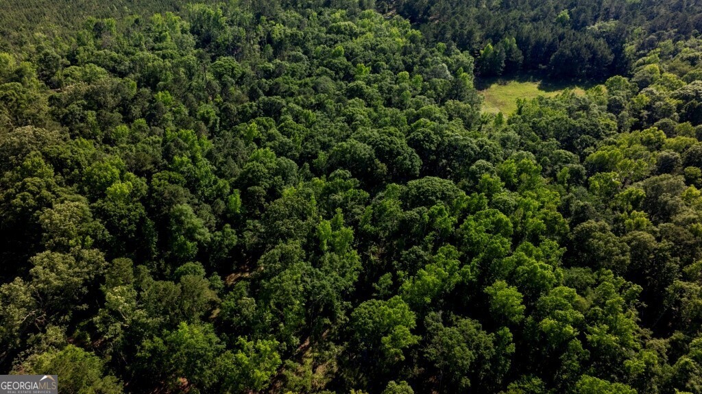 426 Wadley Coleman Lake Road Swainsboro, GA 30401 - Photo 61 of 79