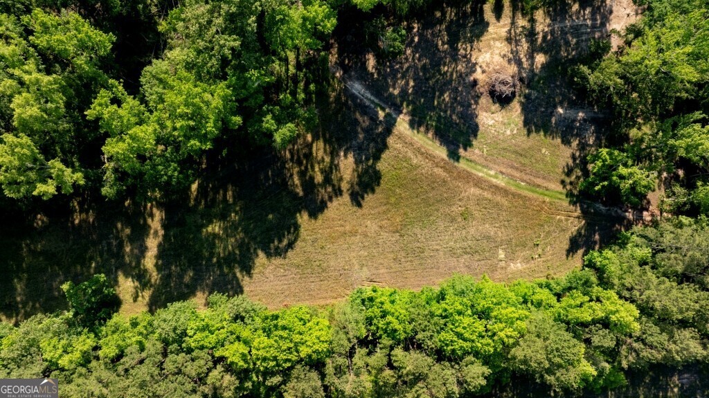 426 Wadley Coleman Lake Road Swainsboro, GA 30401 - Photo 62 of 79 a view of a garden