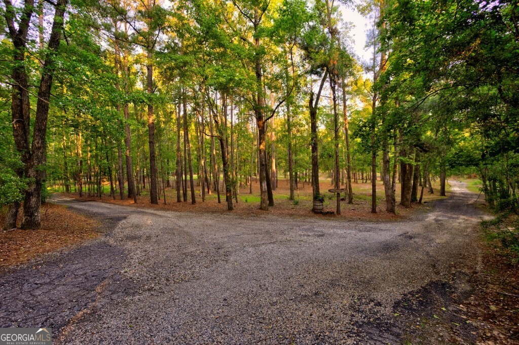 426 Wadley Coleman Lake Road Swainsboro, GA 30401 - Photo 63 of 79