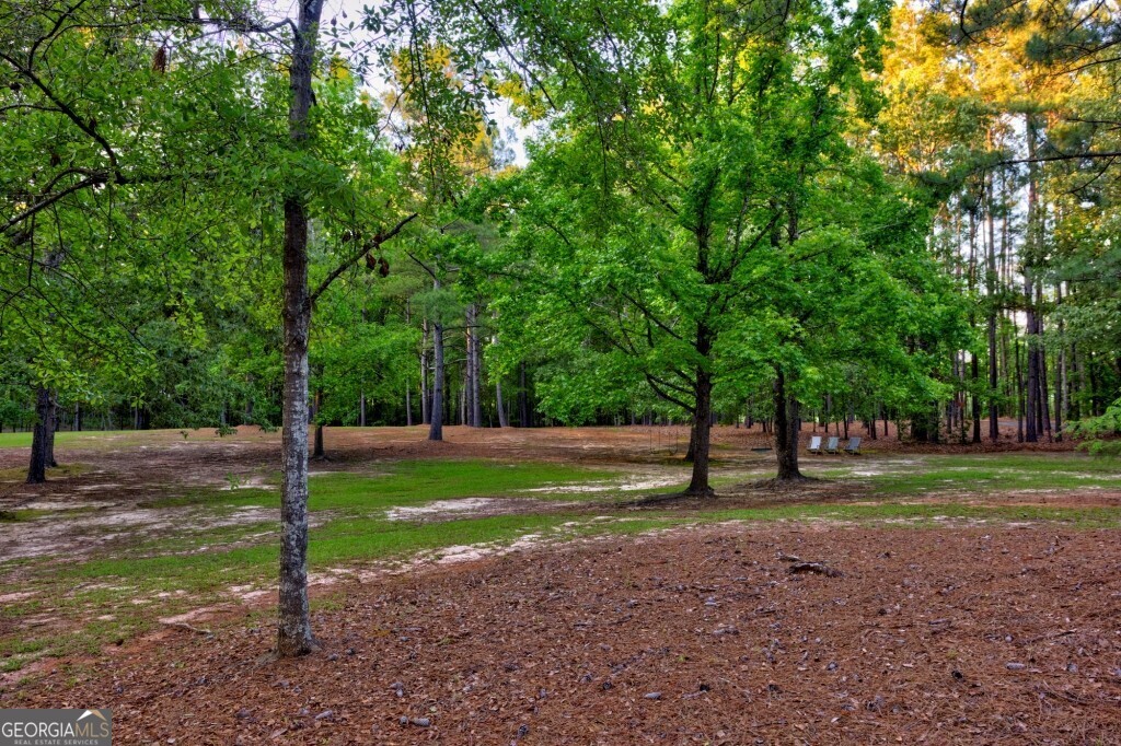 426 Wadley Coleman Lake Road Swainsboro, GA 30401 - Photo 64 of 79