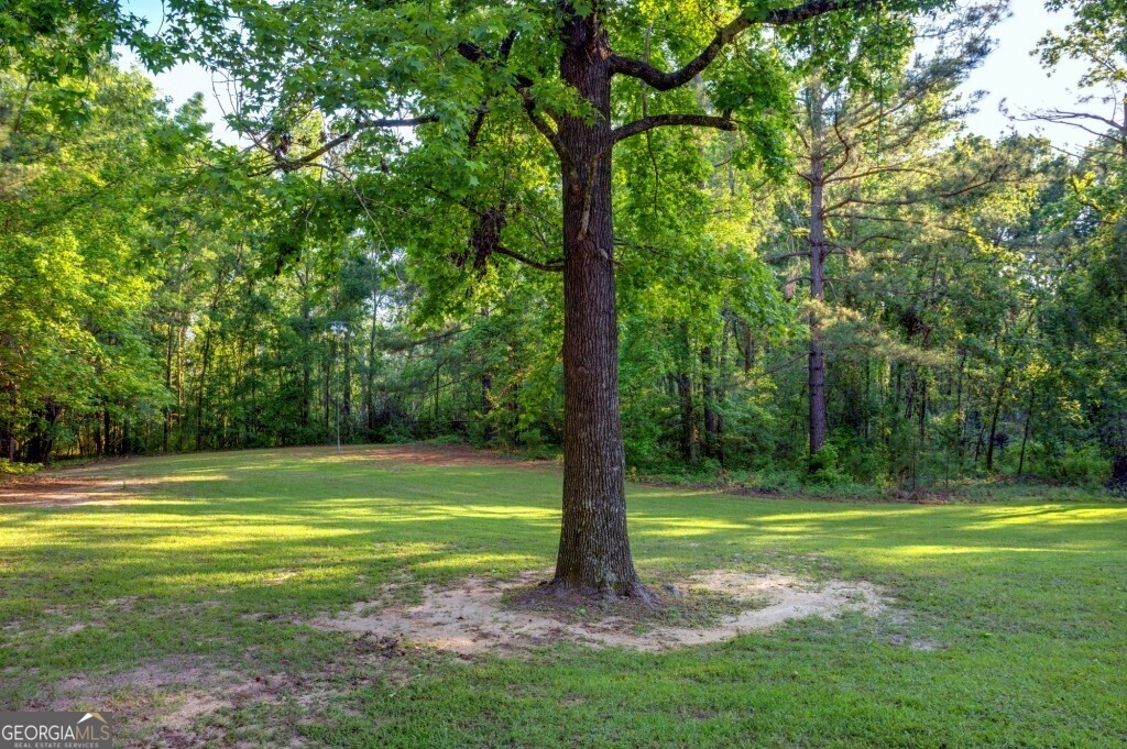 426 Wadley Coleman Lake Road Swainsboro, GA 30401 - Photo 66 of 79