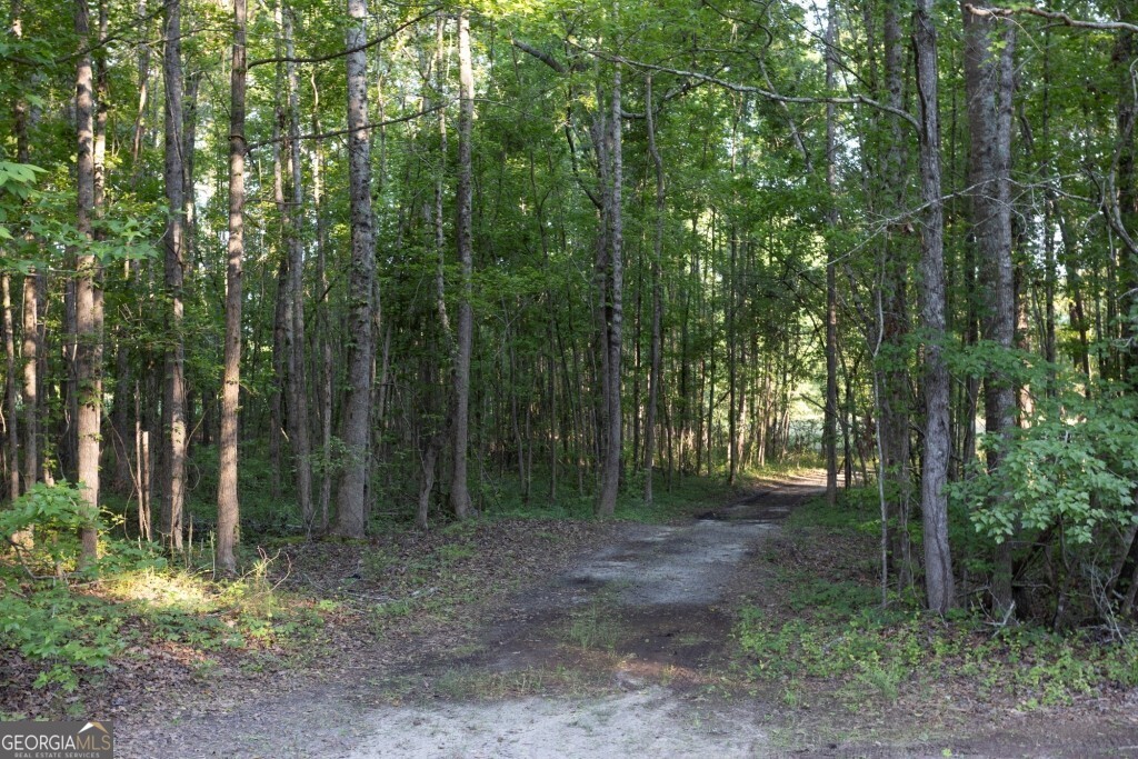 426 Wadley Coleman Lake Road Swainsboro, GA 30401 - Photo 75 of 79 a view of outdoor space and trees