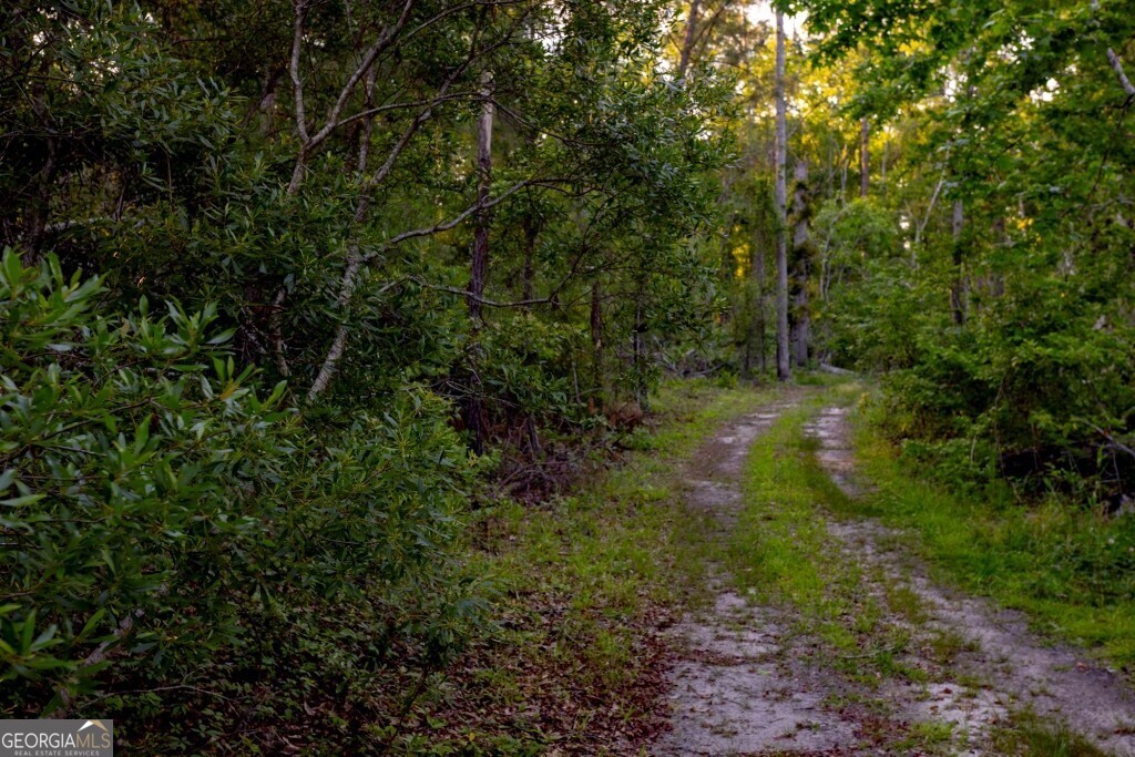 426 Wadley Coleman Lake Road Swainsboro, GA 30401 - Photo 76 of 79