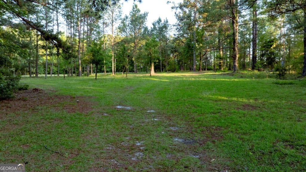 426 Wadley Coleman Lake Road Swainsboro, GA 30401 - Photo 79 of 79 a view of green field