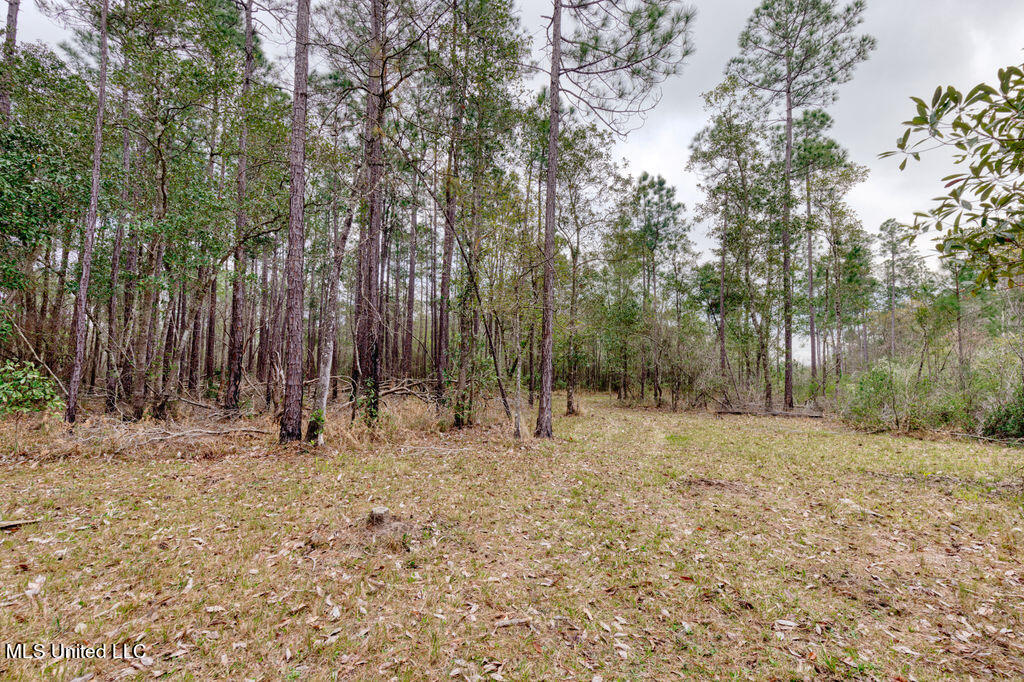 15429 Indian Fork Road Vancleave, MS 39565 - Photo 44 of 63 Land