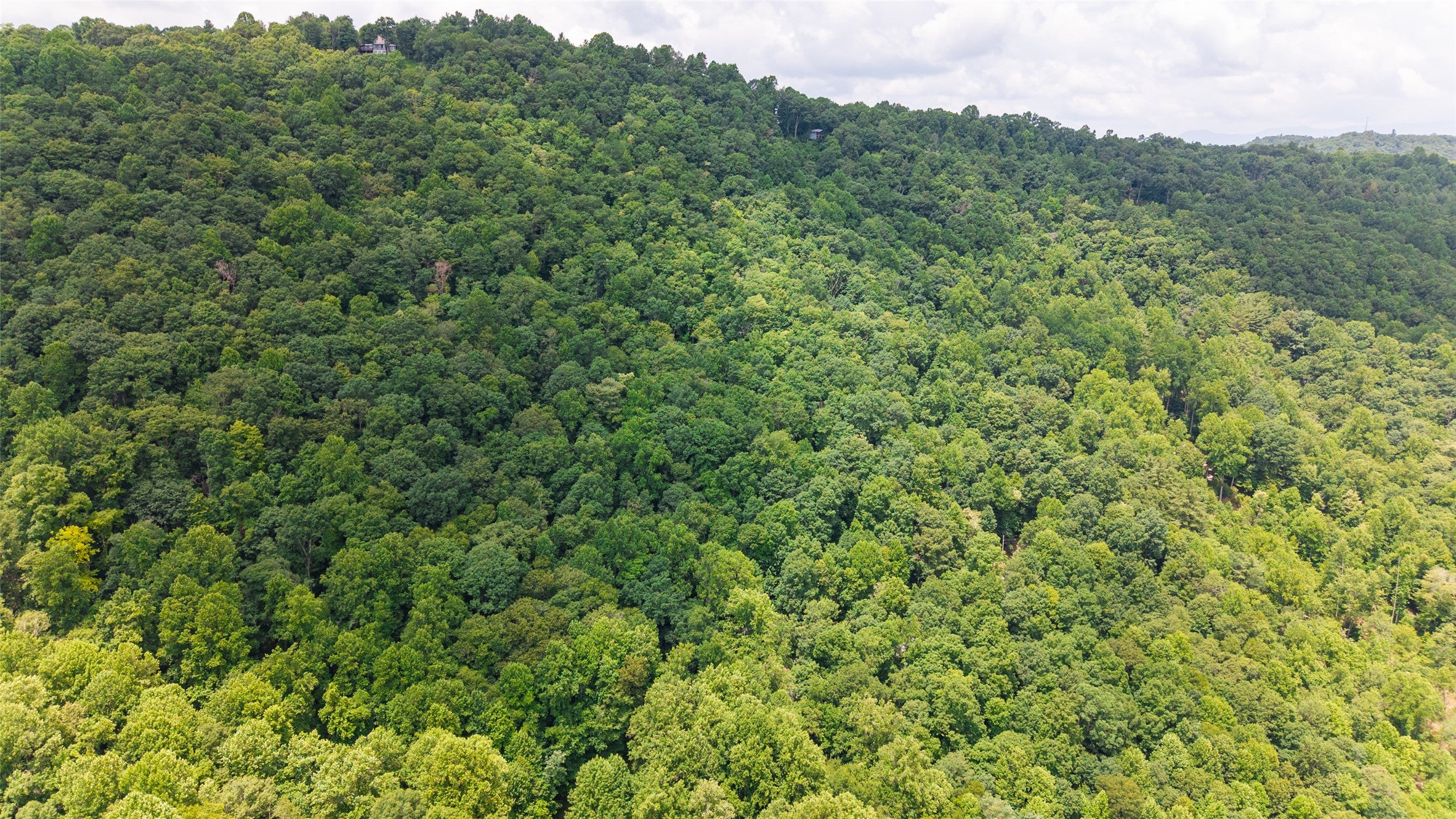 27 Cullowhee Forest Road Cullowhee, NC 28723 - Photo 20 of 22 Gallery Image 20