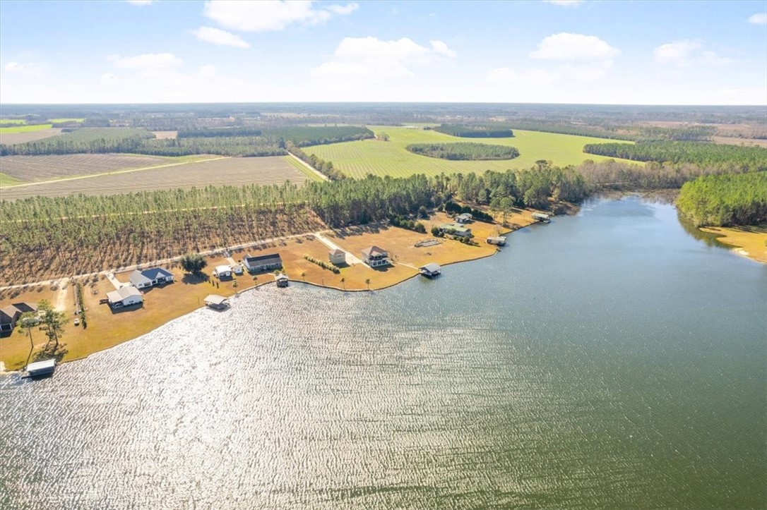 201 Miles Landing Road Bristol, GA 31518 - Photo 2 of 68