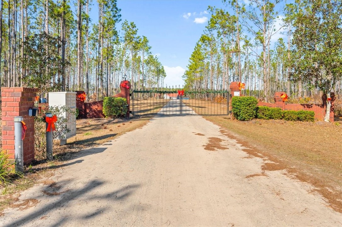 201 Miles Landing Road Bristol, GA 31518 - Photo 64 of 68