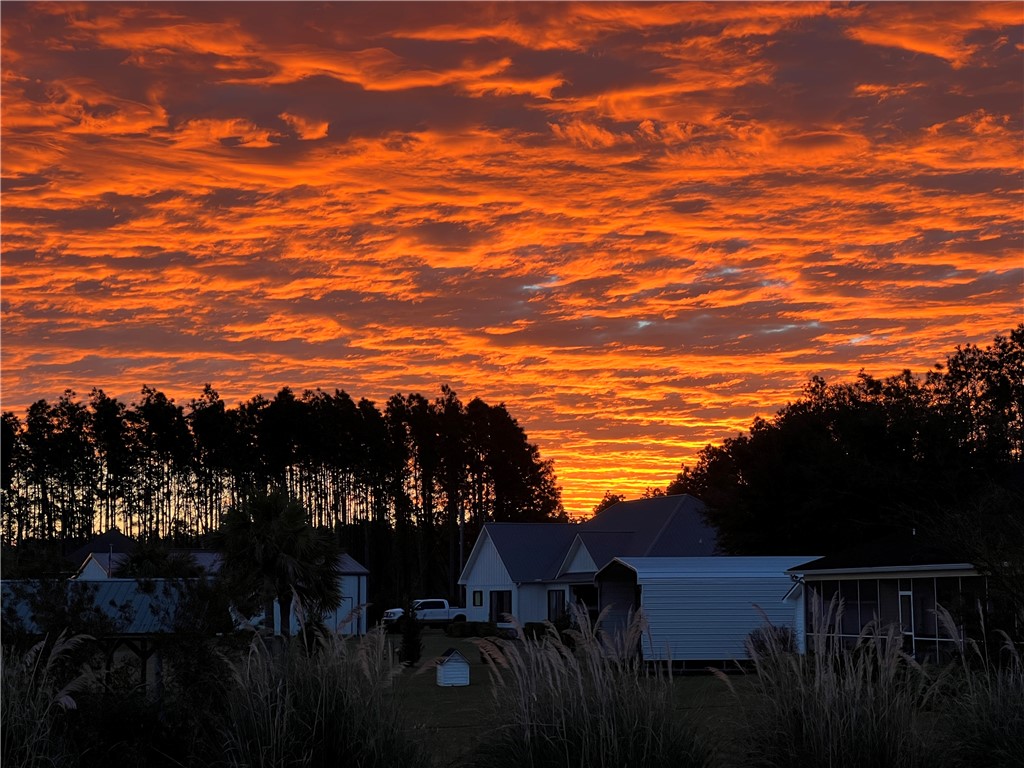 201 Miles Landing Road Bristol, GA 31518 - Photo 67 of 68