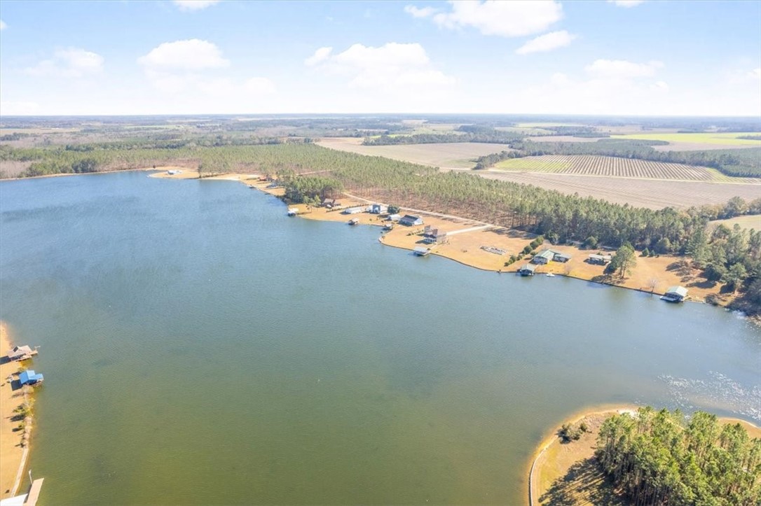 201 Miles Landing Road Bristol, GA 31518 - Photo 9 of 68