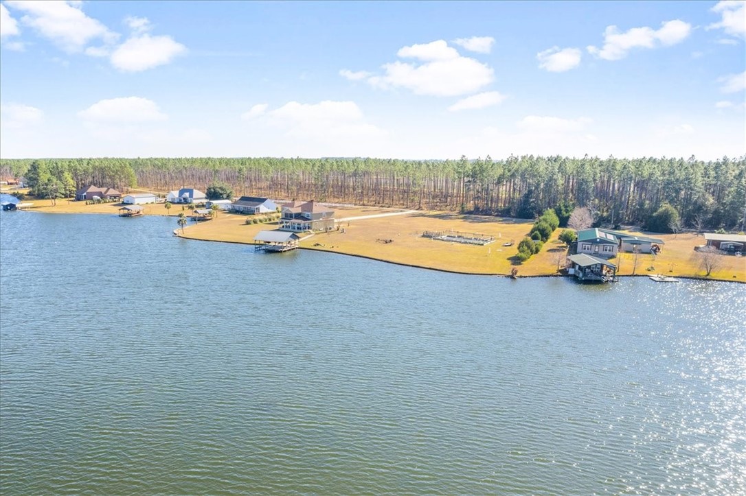 201 Miles Landing Road Bristol, GA 31518 - Photo 10 of 68