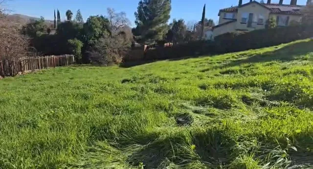 a view of a garden with a house