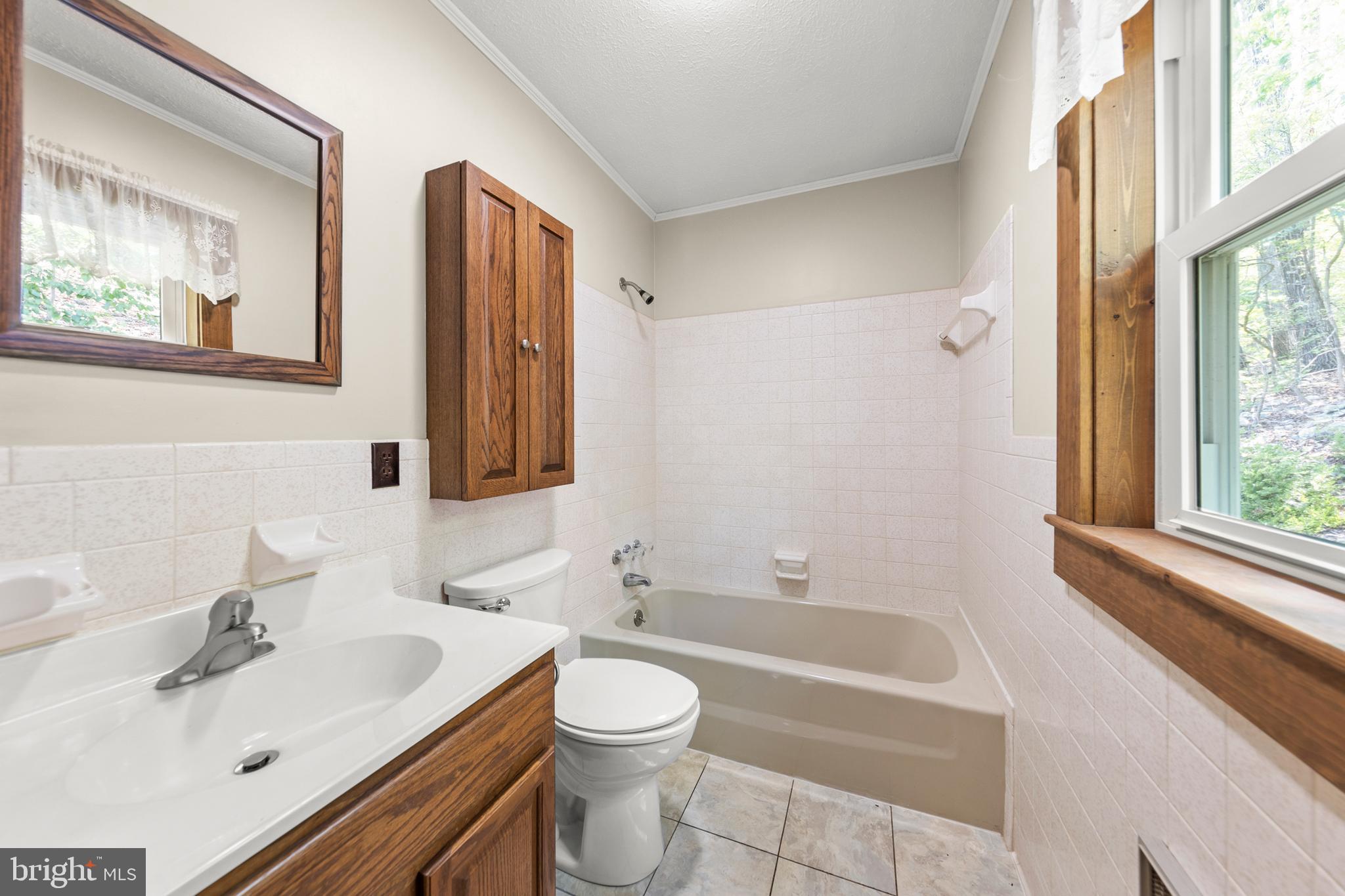 170 Frye Path Road Gore, VA 22637 - Photo 24 of 50 a bathroom with a sink toilet a mirror and bathtub