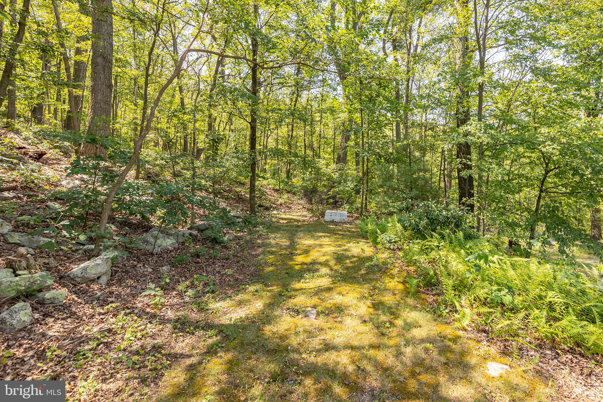 170 Frye Path Road Gore, VA 22637 - Photo 34 of 50 a view of a yard
