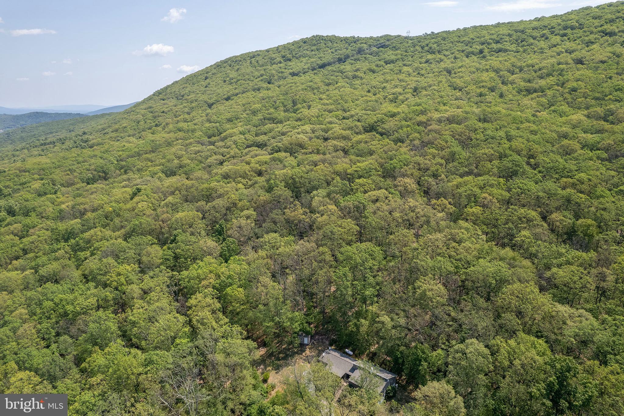 170 Frye Path Road Gore, VA 22637 - Photo 41 of 50 a view of a large mountain with a garden