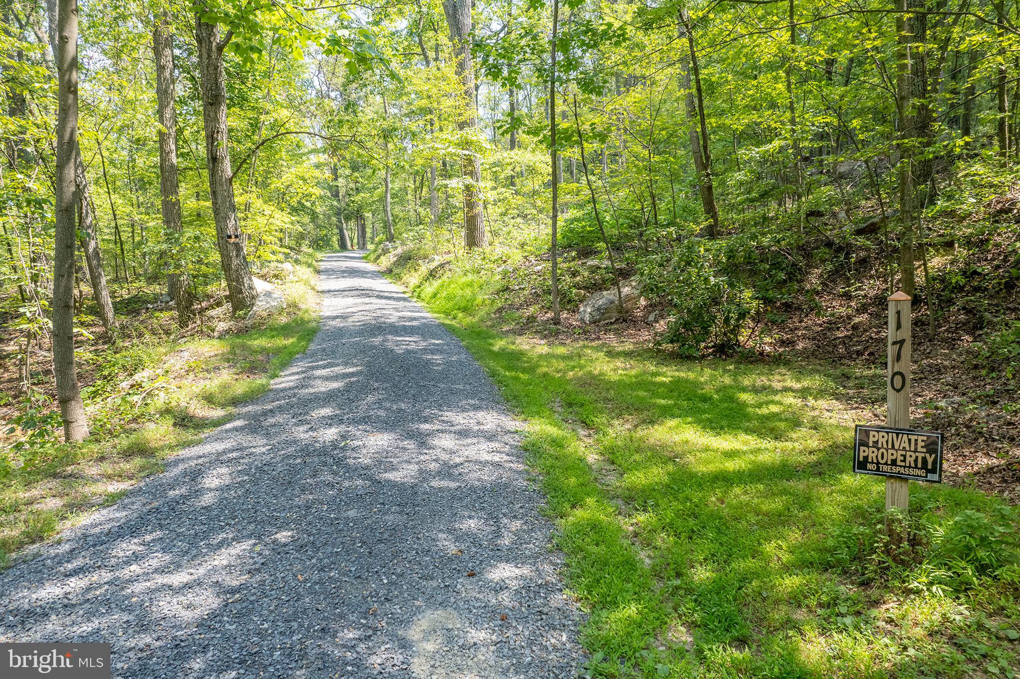 170 Frye Path Road Gore, VA 22637 - Photo 42 of 50 a view of a yard with plants and large trees