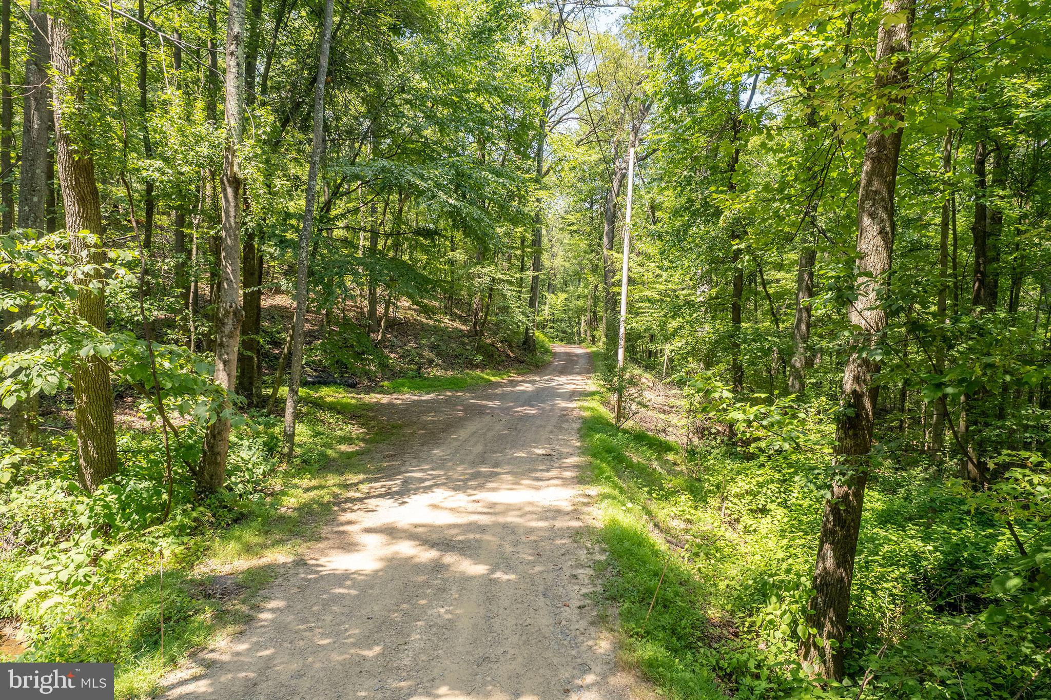 170 Frye Path Road Gore, VA 22637 - Photo 44 of 50 a view of yard