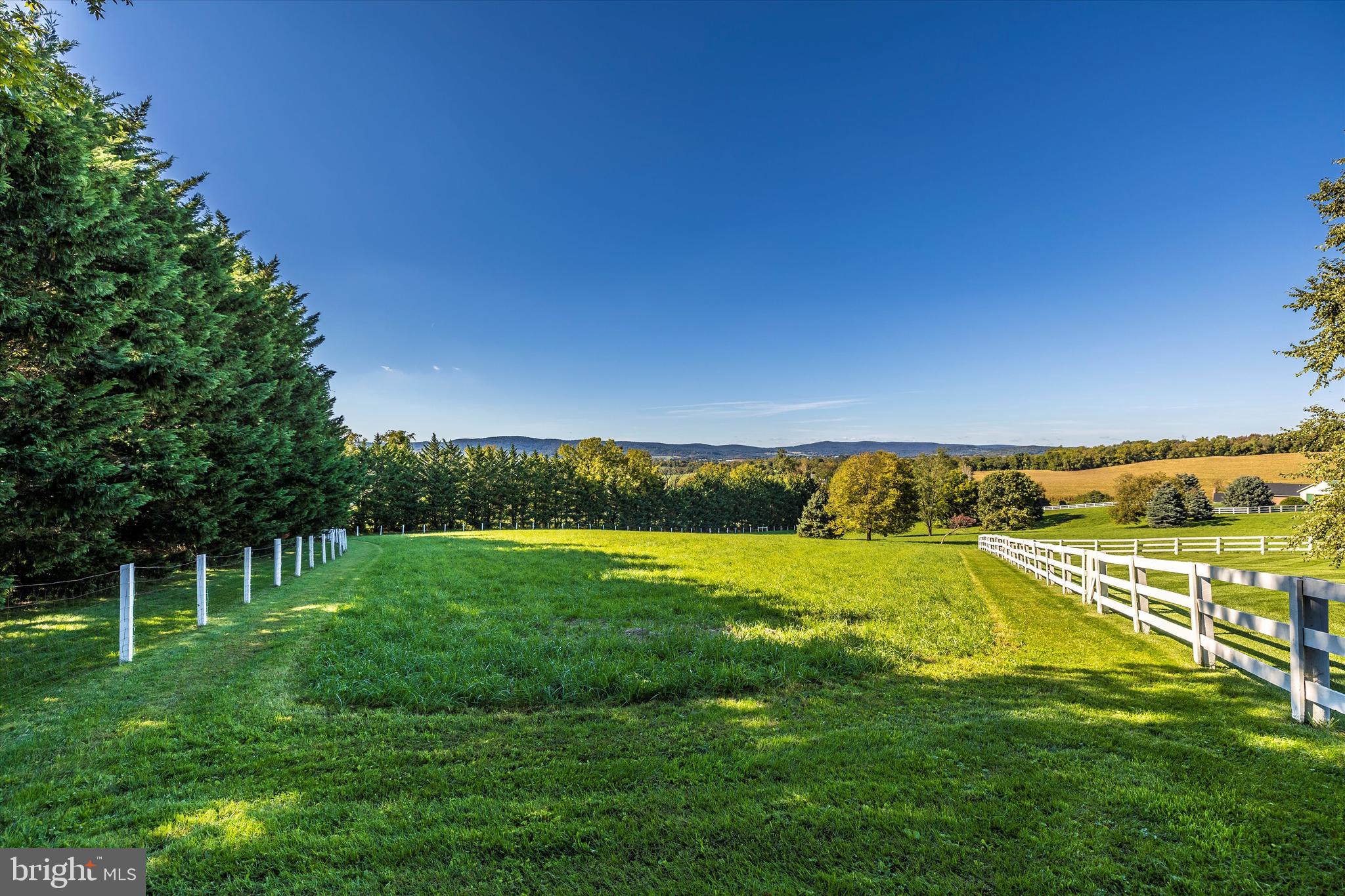 4127 Valley View Road Middletown, MD 21769 - Photo 36 of 51 Paddock