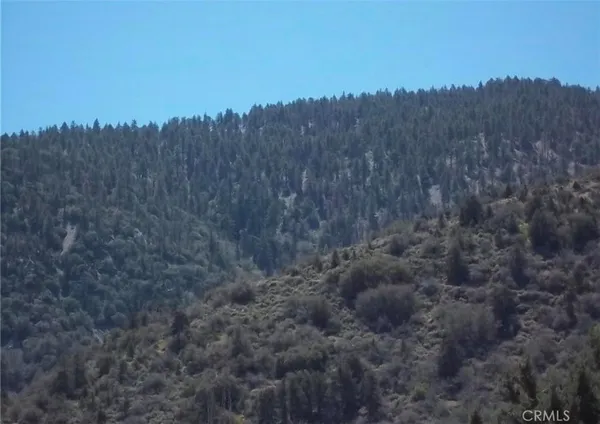 a view of a backyard of a house