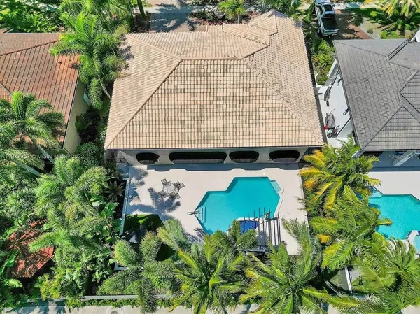 a view of a garden with plants